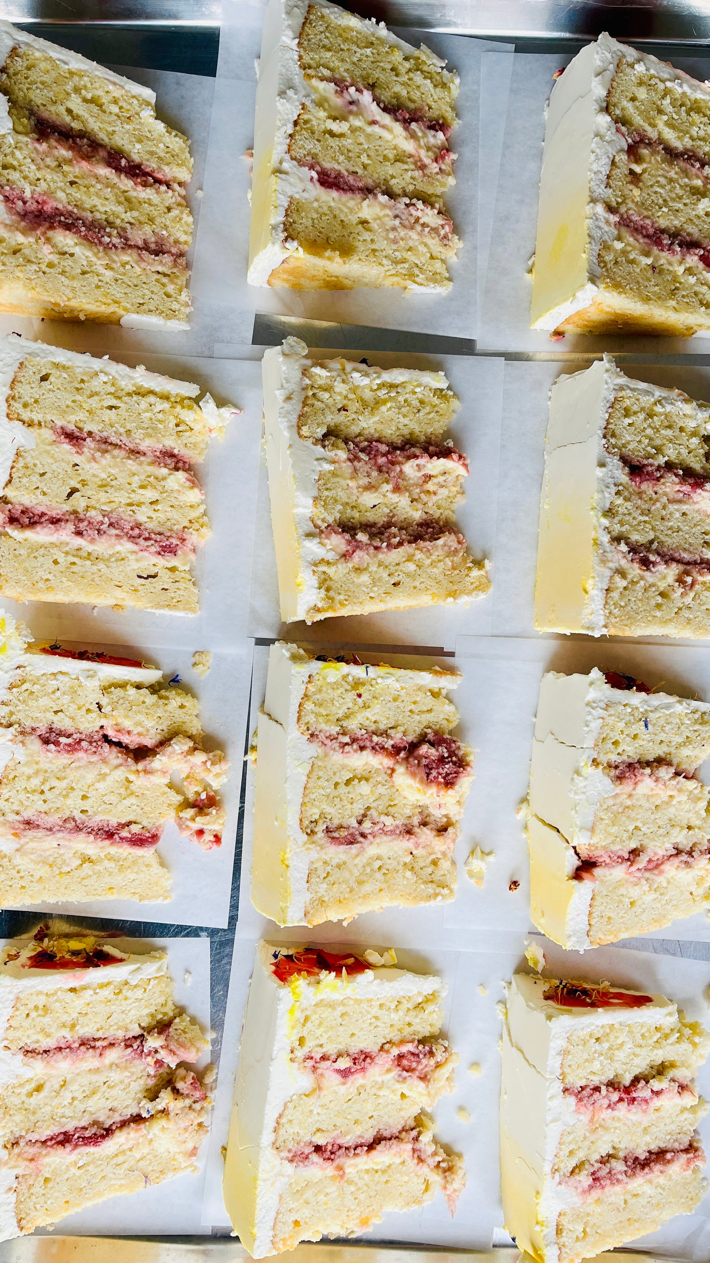 Coconut Rhubarb Slice